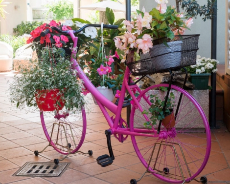 Immagine: 4-bici-rosa-ricchi | Hotel Ricchi